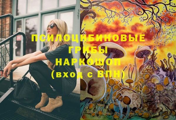 PSILOCYBIN Бородино