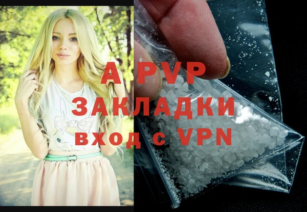 PSILOCYBIN Бородино