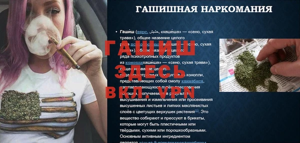 PSILOCYBIN Бородино