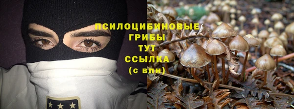 jwh Богородск